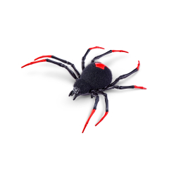 Robo Alive Interactive Toy - Spider