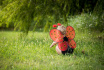Набор Great Pretenders Ladybug - крылышки, обруч для головы (16300)