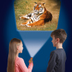 Фонарик-проектор BRAINSTORM TOYS В мире животных (E2012)