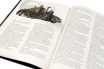 Настільна гра Hobby World Dungeons &amp; Dragons. Уотердіп: Куш Дракона (73619-R)