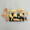 Модель анатомія вуха Edu-Toys збірна 7,7 см (SK012)
