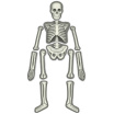 Набір 4M Світиться скелет людини (00-03375)