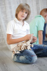 Конструктор Mr. Play Wood Динокар Конструктор Mr. Play Wood Динокар