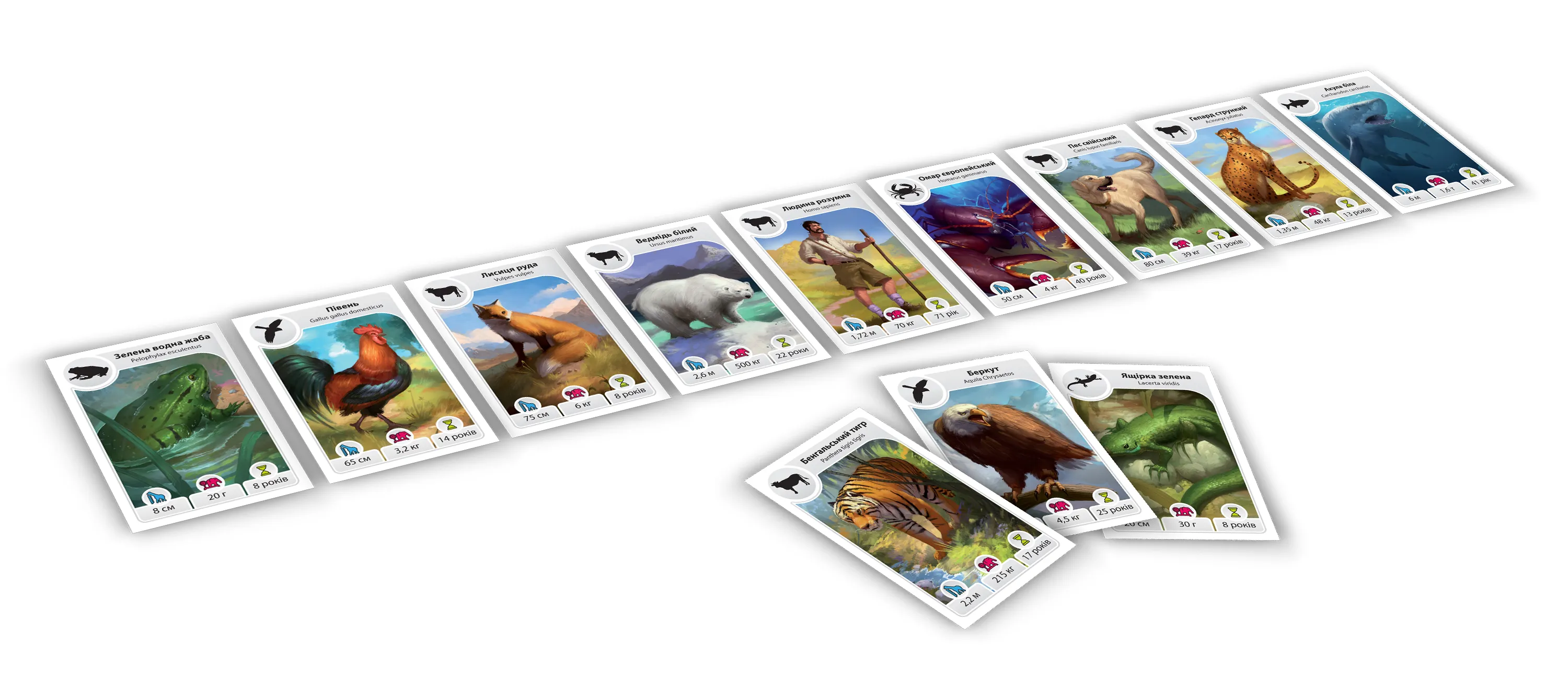 Картолиния: Животные (Cardline: Animals) (UA) Rozum - Настольная игра  (R041UA) купить по цене 749 грн грн. в Украине | Интернет-Магазин ROZUM